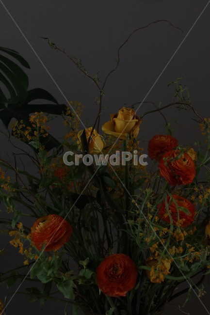 꽃,flower,blossom,장미,수국,나뭇가지,풀,식물,꽃다발,실내,꽃꽃이