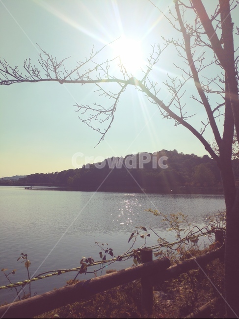 호수,오후,휴식,산책,공원,자연,풍경,nature,landscape,flare,플레어,light,빛,outdoors,옥외,sunlight,햇빛,water,물