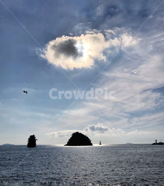 바다,해안선,갈매기,자연,섬,자연,풍경,nature,landscape,land,땅,outdoors,옥외,water,물,sea,ocean,대양,shoreline,coast,연안,adventure,모험,leisure activities,레저 활동