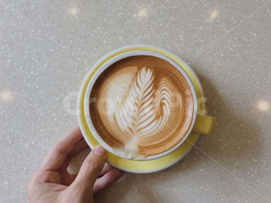 카페라떼,로제타,나뭇잎,아트,커피,사람,인물,인간,human,person,커피,카페,coffee,cafe