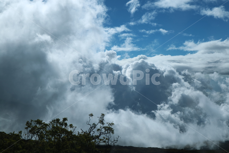 하와이,할레아칼라,구름,구름위,하늘,신비로운,경이로운,풍경,hawaii,cloud,sky,자연,풍경,nature,landscape,weather,날씨,outdoors,옥외,cumulus,적운