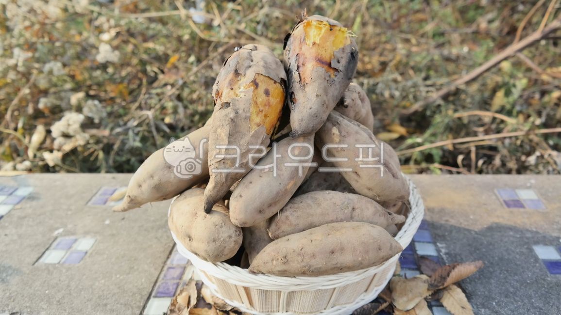Roasted sweet potatoes,sweet potatoes,fall,bench,grass,winter,pumpkin sweet potatoes