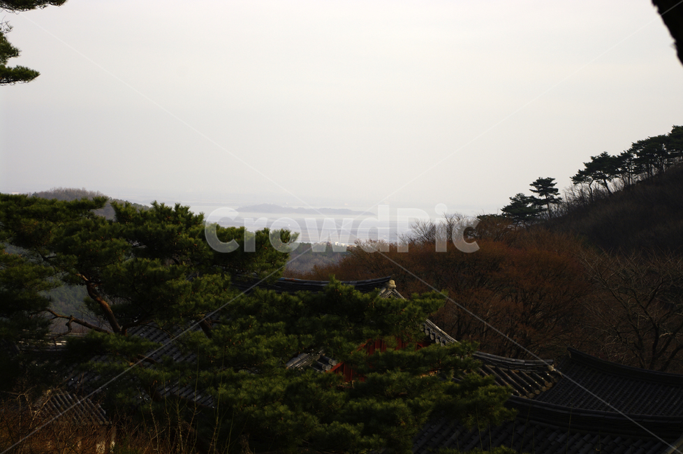 풍경,사찰,지붕,전각,기와,한국전통,한국문화,korean traditional,korean culture,건축물,건물외관,exterior,building,structure,architecture,construction