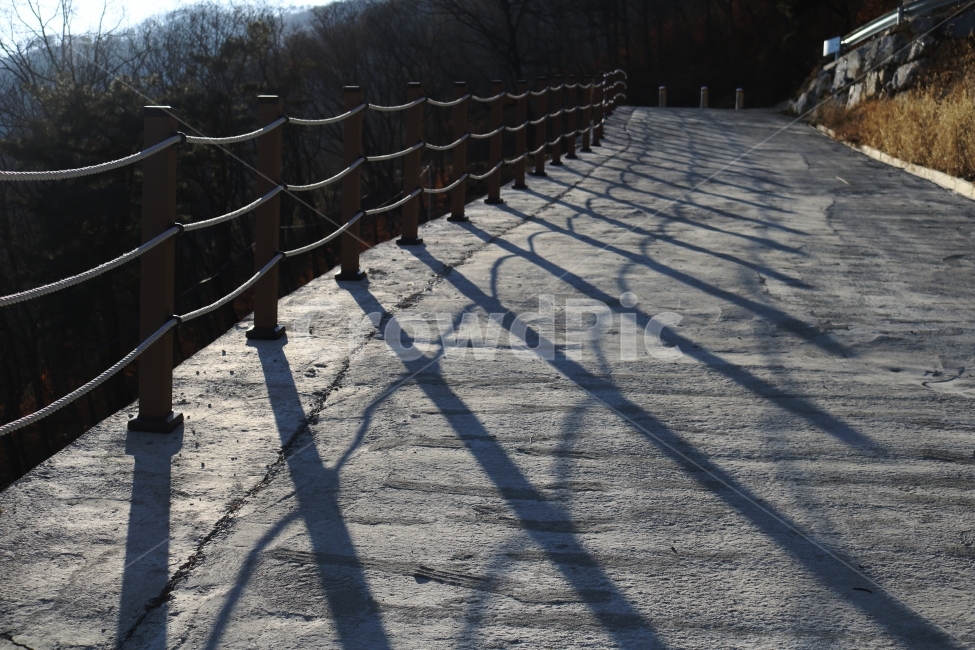 트래킹,숲,산,그림자,콘크리트,감성,국내,길,도로,나뭇가지,나무,자연