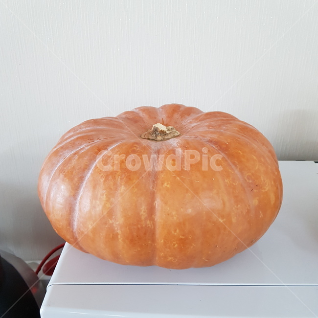 음식,호박,늙은호박,시골,노란호박,음식,식재료,요리,food,cook,meal,dishes,food reserves