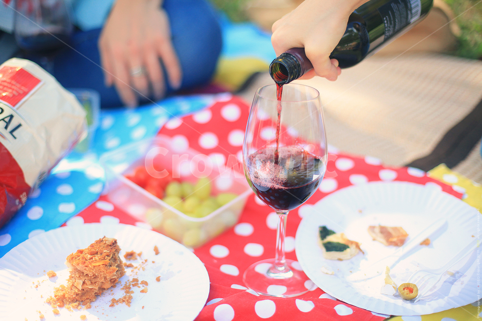피크닉,와인,과일,공원,glass,wine,포도주,drink,음주,알코올,beverage,마실것,grapefruit,chips,picnic,wineglass,여행,휴가,traveling,vacation,trip