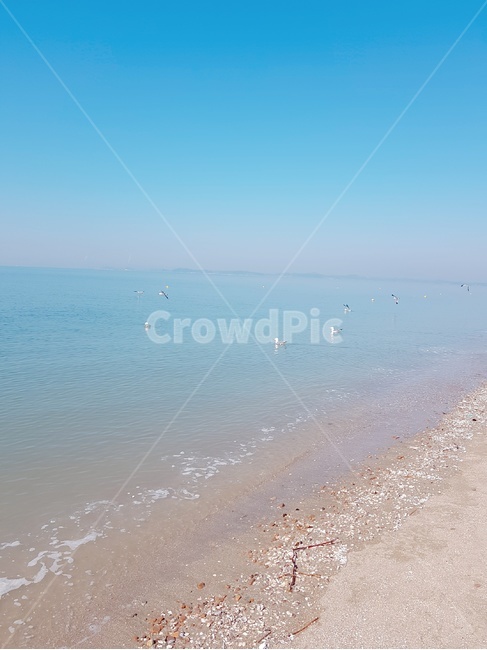 바다,파랑,휴가,바닷가,해변,오션,해변,바다,beach,sea