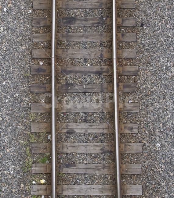 기찻길,기차,철로,나무,자연,철길,길,선로,여행,교통,교통수단,traffic,transportation,railway,철도,train track,rail,레일