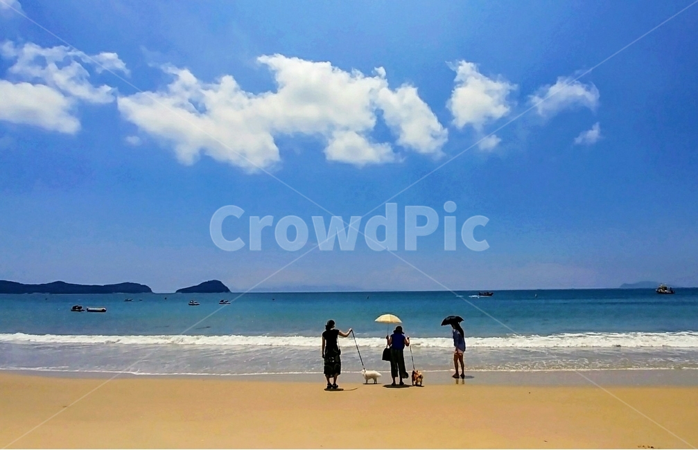 여름,바다,풍경,완도,신지도,자연,풍경,nature,landscape,해변,바다,beach,sea,사람들,대중,군중,other people,crowd,ocean,대양,water,물,outdoors,옥외,shoreline,해안선