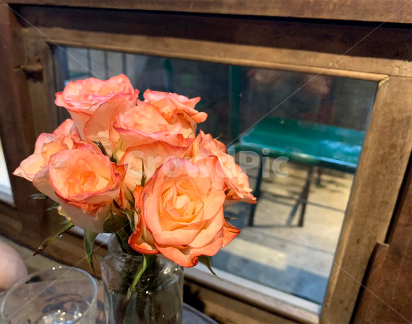 plant,식물,flowerbouquet,꽃부케,flower,flowerarrangement,꽃꽂이,blossom,꽃,red,장미,활짝핀,인테리어소품,인테리어,카페,인테리어꽃,실내용화초,화분,화초,house plant