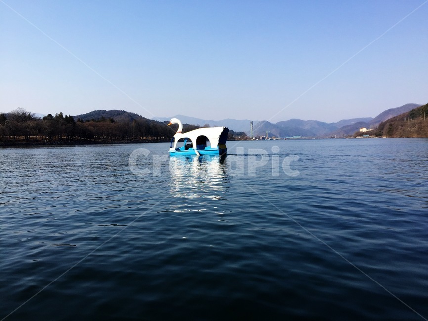 오리배,남이섬,호수,잔잔한,파랑,오리,duck