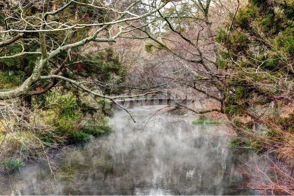 유후인,저수지,물안개,온천,자연,자연,풍경,nature,landscape,해외,외국,세계,foreign,oversea,world,세계자연풍경,해외자연풍경,외국자연풍경,world nature landscape,water,물,outdoors,옥외