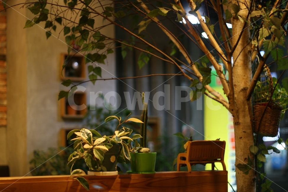 소품,인테리어,장식,사물,귀여움,식물,자연,plants,nature,인테리어,실내디자인,interior design
