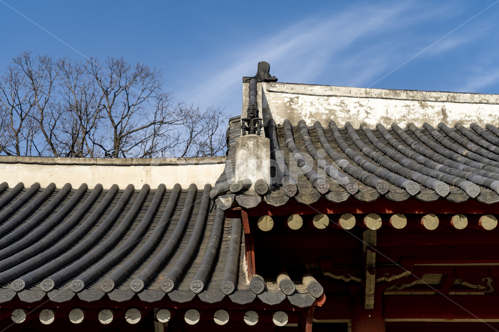 jongmyo,종묘,종묘제례,sillo,한국,전통,문화재,유네스코,한국전통,한국문화,koreantraditional,koreanculture,korea,landmark,seoul,한국전통,한국문화,korean traditional,korean culture,건축물,건물외관,exterior,building,structure,architecture,construction