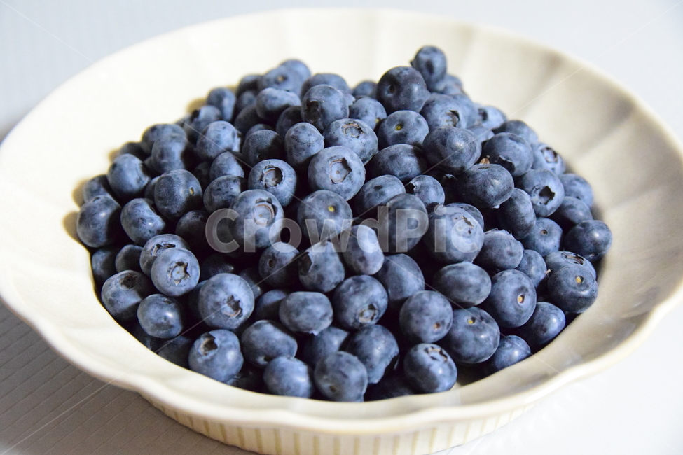 블루베리,베리,과일,열매,과실,씨없는과일,씨없는열매,blueberry,fruits,맛있는,보라색열매,진보라색,과일,열매,fruit