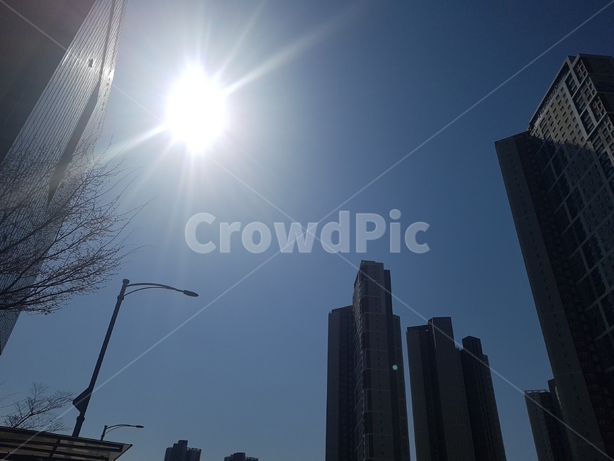 가로등,빌딩,아파트,도시,태양,해,오전,오후,햇빛,태양빛,도시,풍경,city,landscape,flare,플레어,light,빛,building,건물,office building,사무실 건물,sunlight