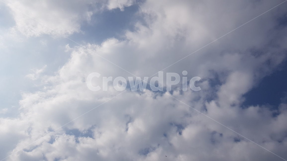 하늘,파란하늘,구름,뭉게구름,하얀구름,파란,하얀,흰색,cloud,sky,bluesky,맑은하늘