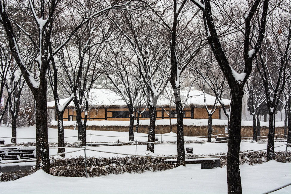 눈발,백설,눈길,흰눈,겨울풍경,겨울,계절,winter,season,한국전통,한국문화,korean traditional,korean culture