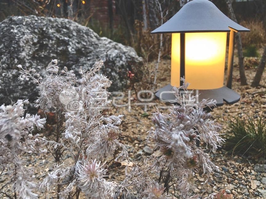 정원,야외,가로등,미니가로등,불,식물,나무,배경,흙,돌,바위