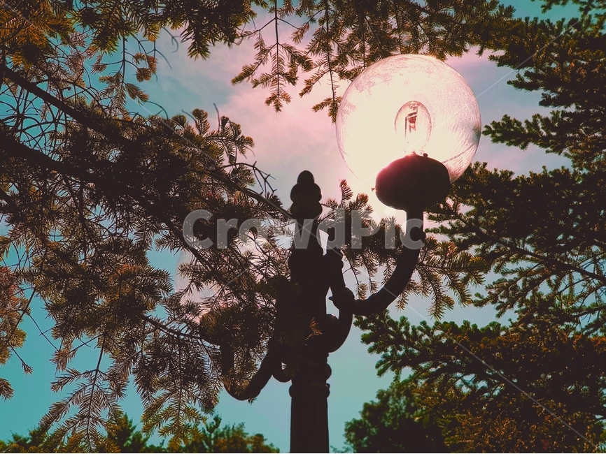 가로등,정원가로등,정원등,하늘,outdoors,nature,자연,tree,나무,plant,식물,streetlamp,streetlight