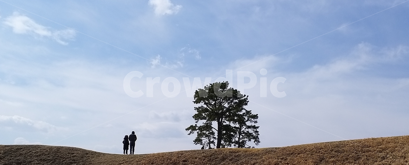 감성,느낌,야외,풍경,human,인간,person,사람,tree,나무,plant,식물,outdoors,옥외,nature,자연,grassland,field
