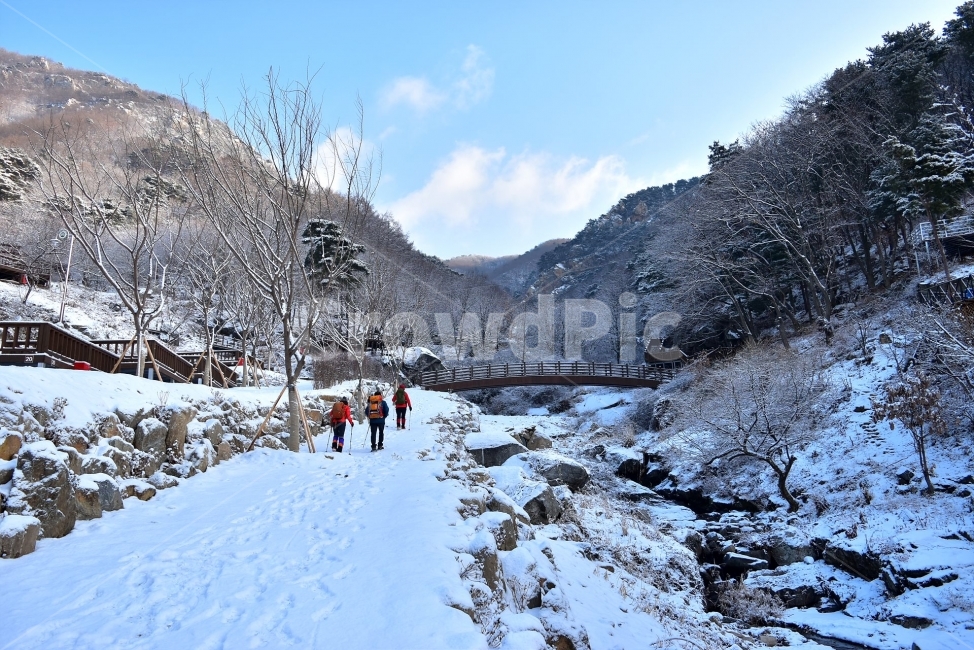 용문산,백운봉,풍경,자연,등산,트레킹,산행,마테호른,두리봉,파란,하늘,상고대,서리꽃,눈꽃,눈,눈풍경,양평,겨울,힐링,산행지,국내여행,자연풍경,산사진,비경,100대명산,감성,조망,전망,자연휴양림,세수골,겨울왕국,아름다운,수려한,겨울,계절,winter,season,자연,풍경,nature,landscape,한국자연풍경,한국자연경관,korea nature landscape,사람들,대중,군중,other people,crowd,여행,휴가,traveling,vacation,trip,스포츠,레저,운동,sports,leisure,exercise,건강,헬스웨어,헬스케어,healthware,health care,human,인간,person,사람,outdoors,옥외,mountain,산,ice,빙
