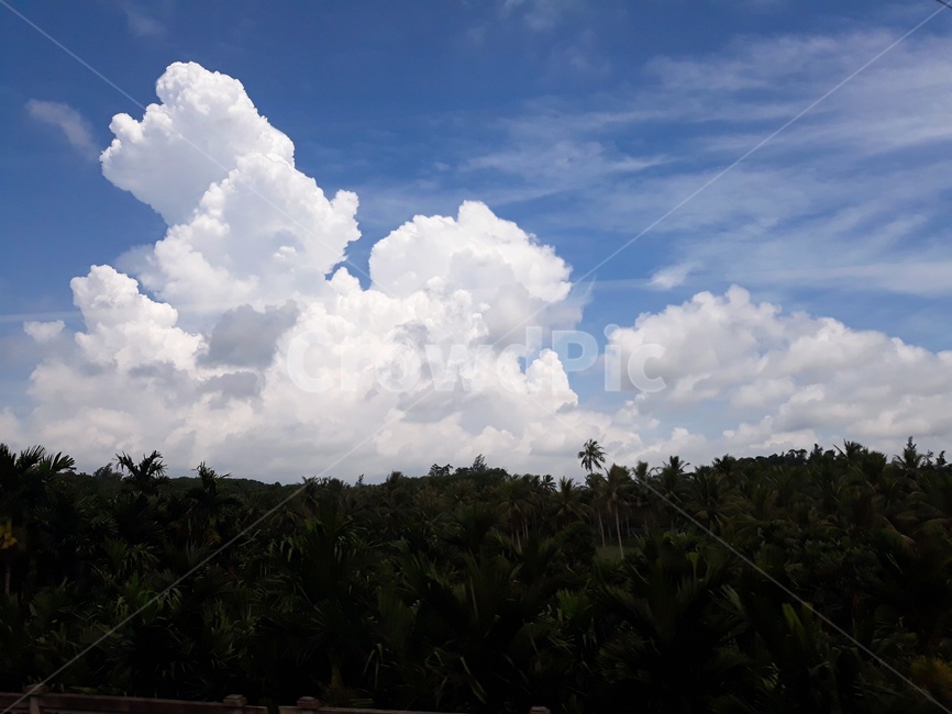 nature,자연,하늘,구름,weather,날씨,cloud,sky,적운,cumulus,옥외,outdoors