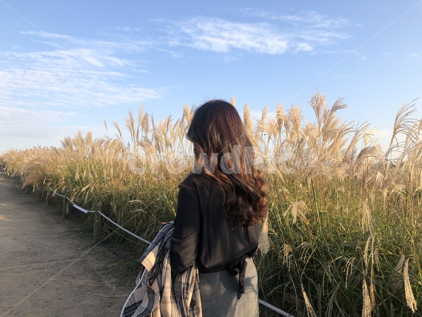 가을산책,의류,여자,사람,뒷모습,산책,웨이브,헤어,가을,계절,fall,autumn,season,사람,인물,인간,human,person,여성,여자,woman,female,lady,grass,잔디,plant,식물