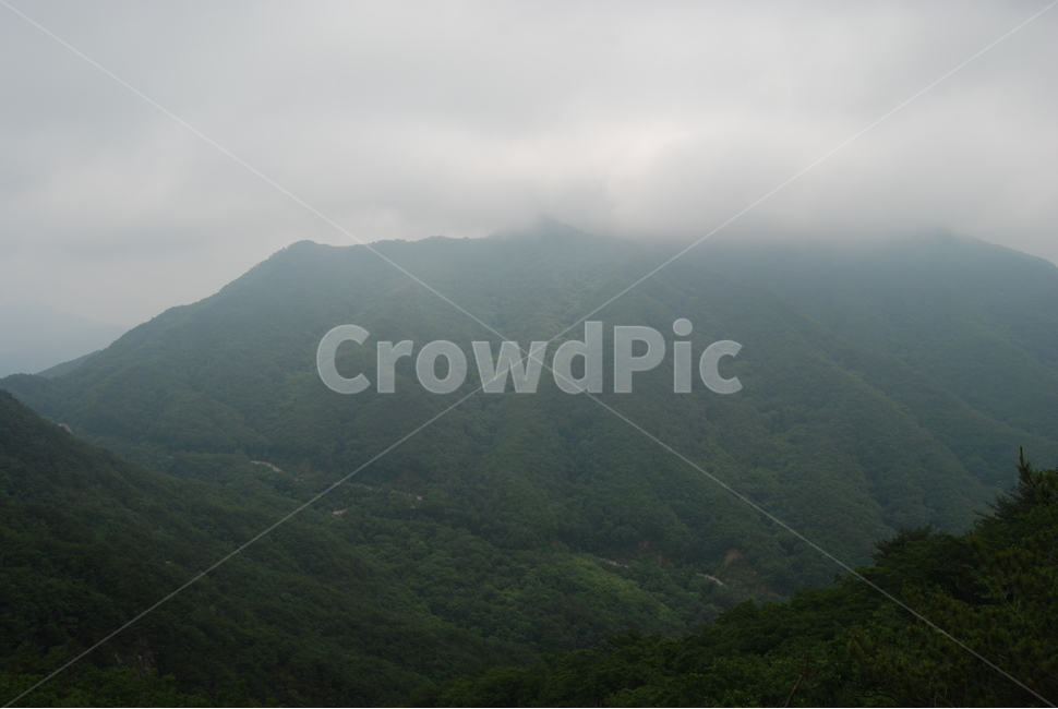 오봉산,청평사등산로,부용계곡,공주탕,공주설화,자연의위대함,등산로,능선,아름다움,신비스런산,돌,산행,힐링,자연,감성,등산,계절,여행,한국,한국명산,한국등산,풍경,눈,나무,하늘,바람,바람소리,환경,생태계,산,땅,자연,풍경,nature,landscape,한국자연풍경,한국자연경관,korea nature landscape,outdoors,옥외,slope,경사