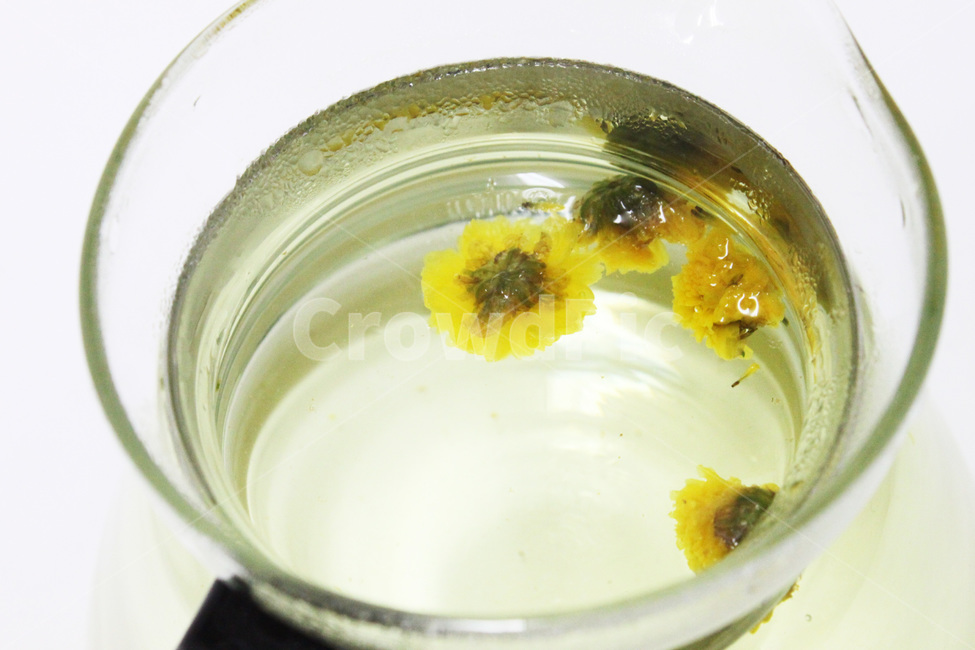 꽃차,티,국화,티포트,주전자,tea,chrysanthemum,chrysanthemumtea,ateapot