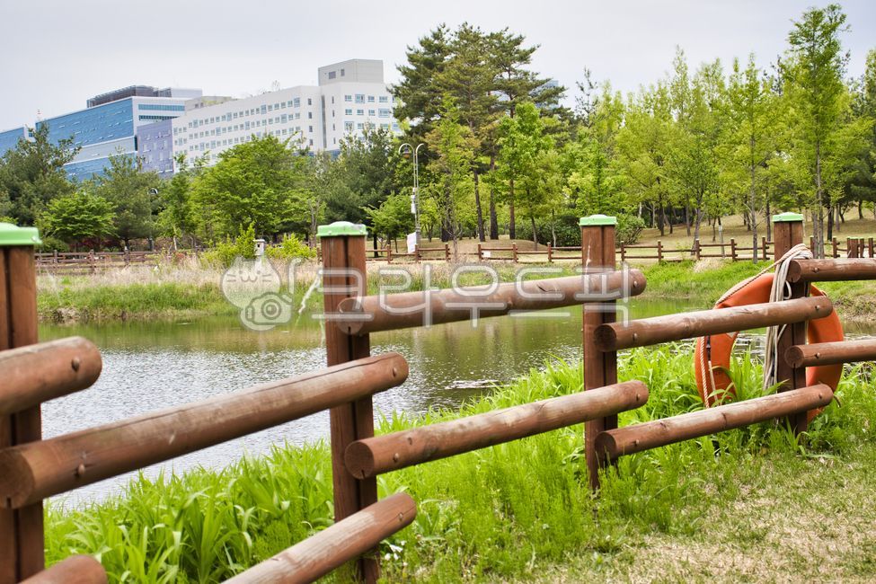 호수,나무말뚝,구명튜브,산책,공원,자연,handrail,난간,banister