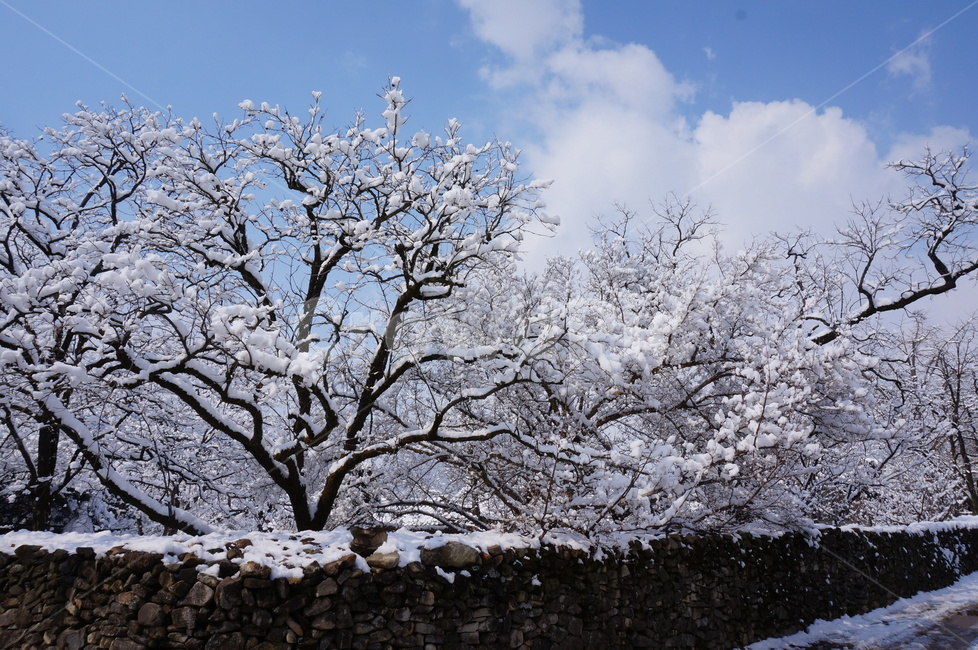 눈,겨울,풍경,외암리민속마을,고택,구름,자연,nature,outdoors,옥외,snow