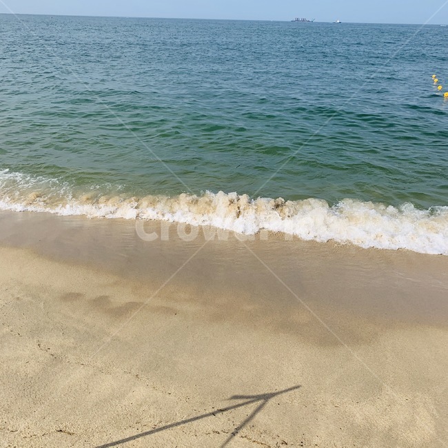 바다,ocean,sea,강릉,여름