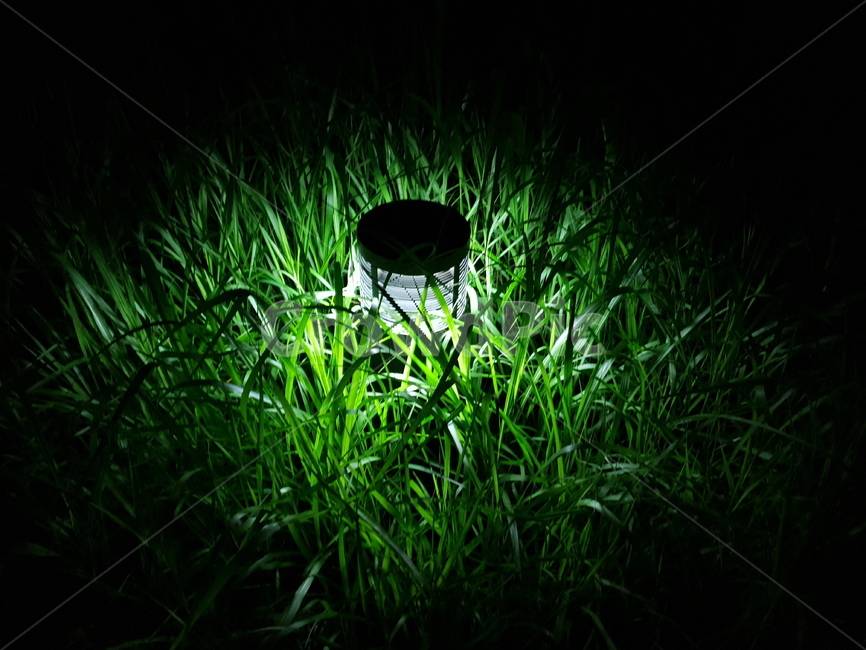 빛,엄둠속의빛,한줄기빛,어둠을밝히다,공원,light,park