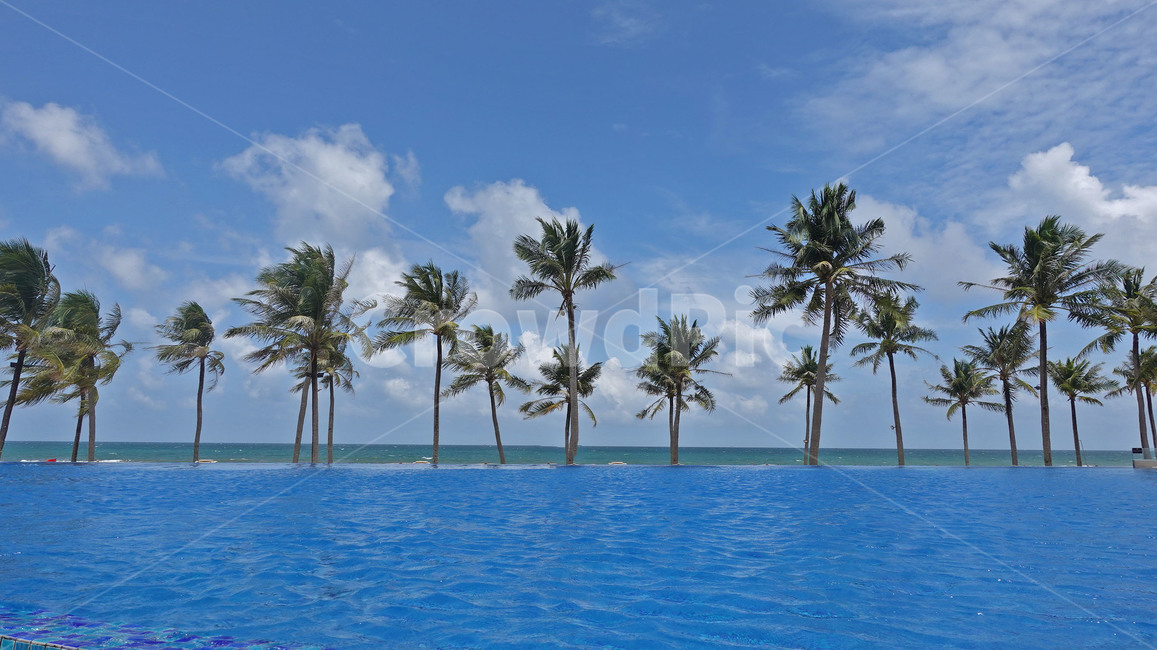 summer,여름,sky,pool,하늘,나무,수영장,휴가,수평선,horizon,여름,계절,summer,season,자연,풍경,nature,landscape