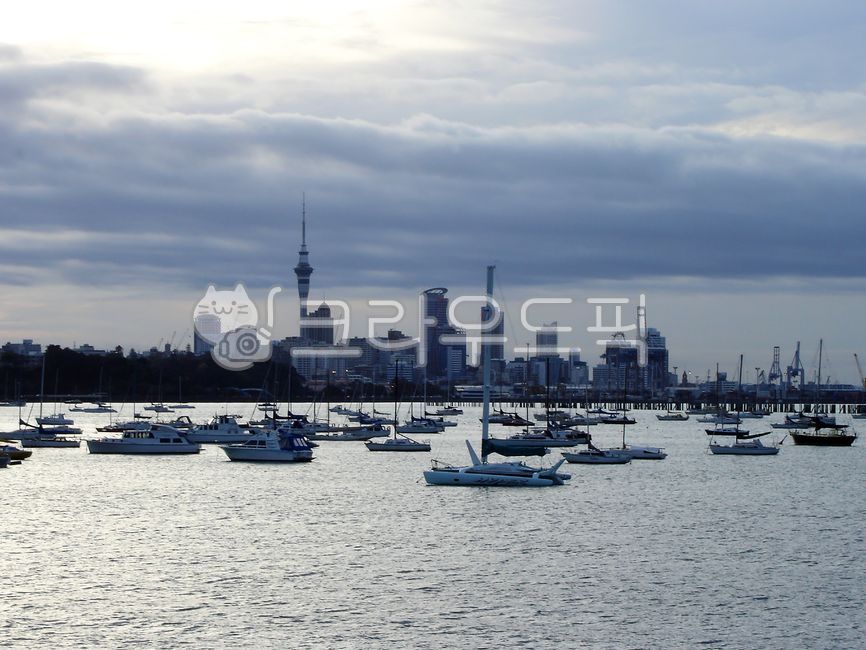 뉴질랜드,북섬,오클랜드,스카이시티,바다,요트,스카이타워,컨벤션센터,여행,세계