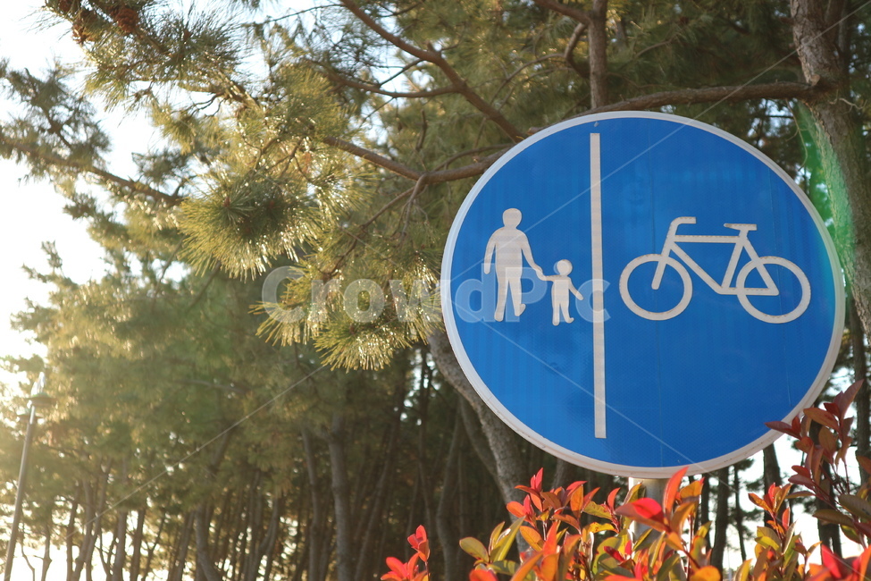 cycle,bike,walk,산책,자전거,자전거전용도로,전용도로