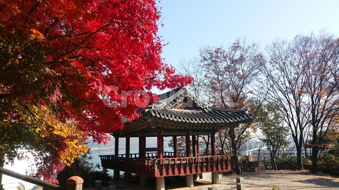 단풍,정자,가을,궁산,겸재
