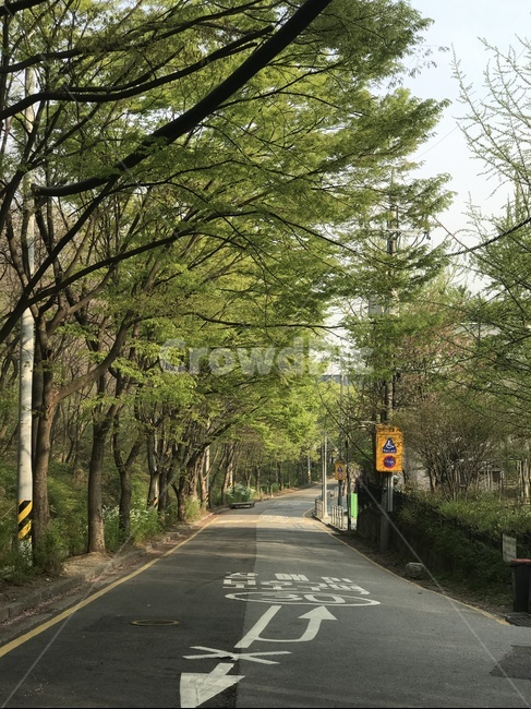 공원,산책,휴식,성찰,묵상