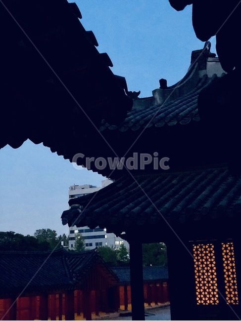 저녁,하늘,창경궁,한옥,빛,불빛,고궁