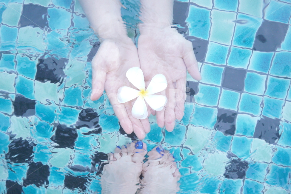 커플,꽃,손,발,수영장,물,아름다움,여름,계절,summer,season,신체일부,몸,body,petal,꽃잎,flower,plant,식물,blossom,water,nature,자연,outdoors,옥외
