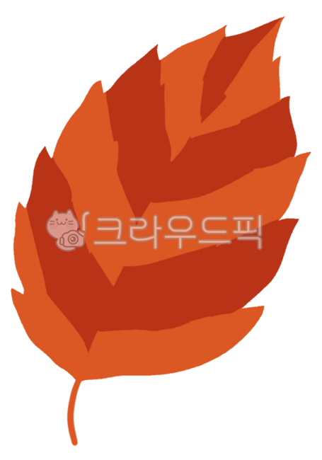 나뭇잎,낙엽,가을잎,가을낙엽,추풍낙엽,이파리,떨어지다,물들다,가을,가을시즌,계절,가을컨셉,가을테마,식물,자연,fallenleaf,dyedleaves,dyed,fall,autumn,season,autumntheme,fallconcept,plant,nature,leaf,foliage