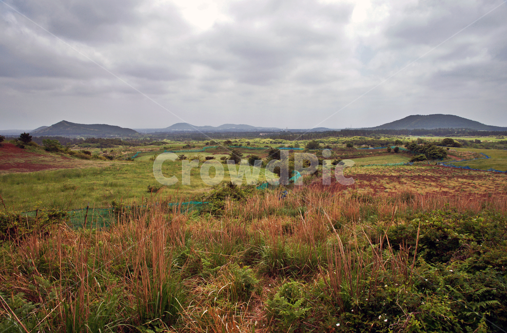 갑마장길,제주도,표선면,가시리,트레일,자연,풍경,nature,landscape