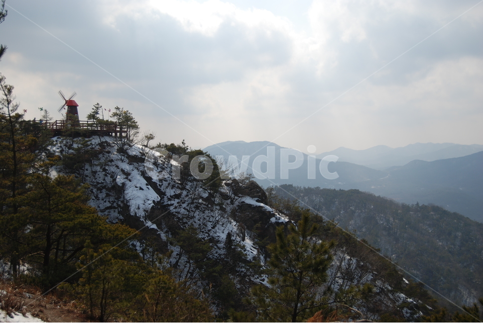 자연,휴양림,용봉산,계절,등산로,겨울,계절,winter,season,자연,풍경,nature,landscape,한국자연풍경,한국자연경관,korea nature landscape,plant,식물,tree,나무,abies,아비,fir,전나무,slope,경사,outdoors,옥외