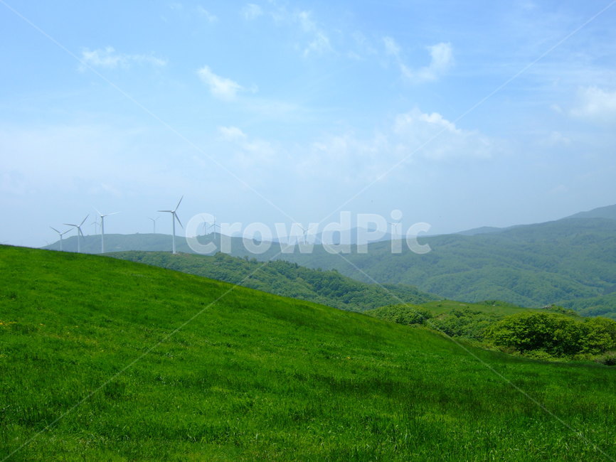 강원도,대관령,산,발전기,풍력,바람,여름,능선,산마루,mountain,windplant,wind,summer,자연,풍경,nature,landscape,outdoors,옥외,field,들,grassland,목초지