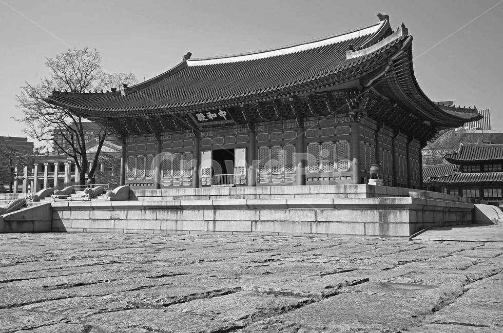 중화전,월대,보물제819,정전,덕수궁,궁궐,대한제국,고종,흑백