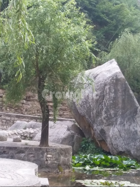 나무,바위,물,야외,풀,자연,풍경,nature,landscape,rock,록,vegetation,초목,plant,식물,tree,outdoors,옥외,bush,부시