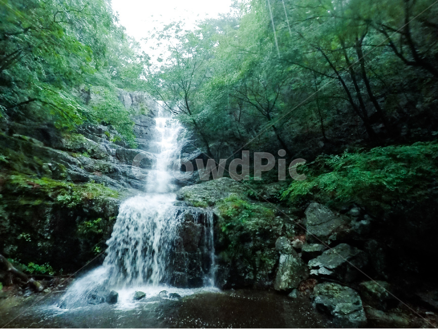 폭포,계곡,산,나무,강,waterfall,mountain,여름,계절,summer,season,자연,풍경,nature,landscape,water,물,river,outdoors,옥외