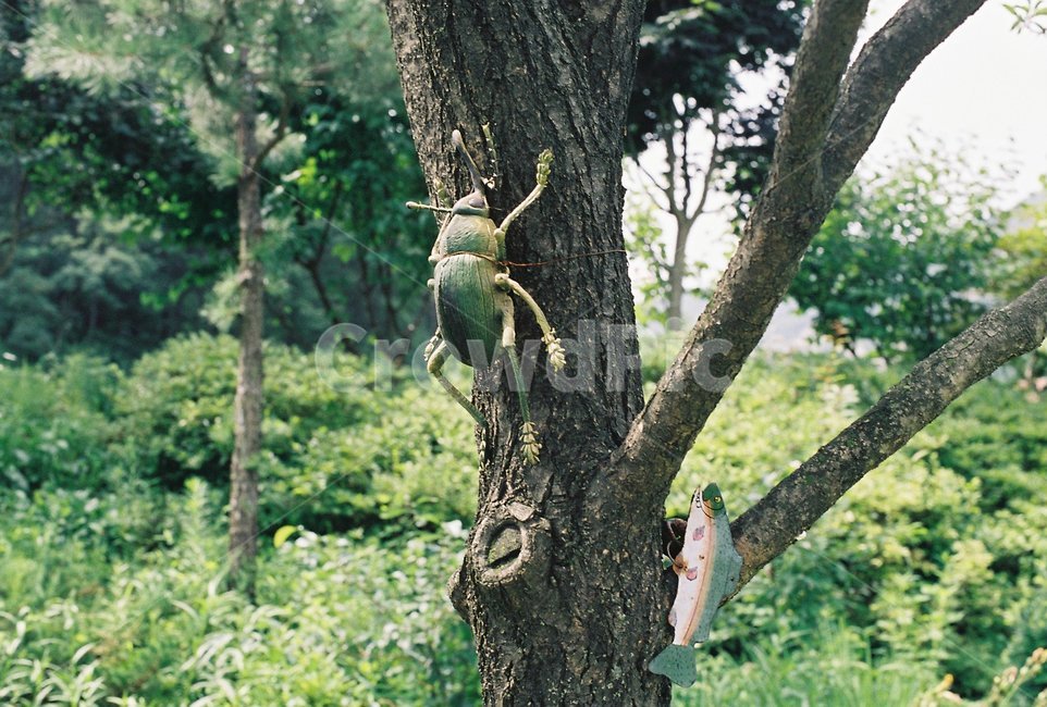 자연,나무,곤충,곤충모형,물고기그림,green,tree