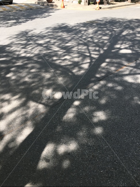 나무,그림자,감성,실루엣,배경,tree,shadow,sensibility,silhouette,background,감성사진